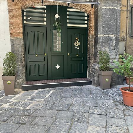 Alex Mary Home Nápoly Kültér fotó